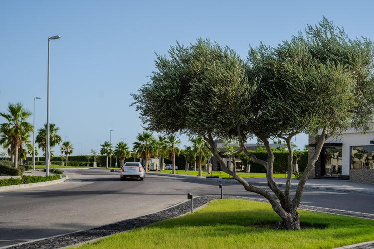 Privet Villas